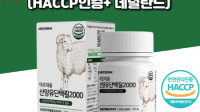 뉴트잇 최저가 득템! 후기와 함께하는 솔직한 구매 팁 ✨